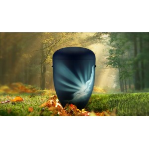 Biodegradable Cremation Ashes Funeral Urn / Casket - GLORIOUS RAYS